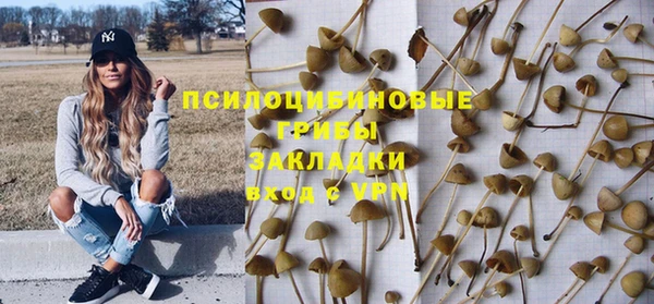 экстази Арсеньев