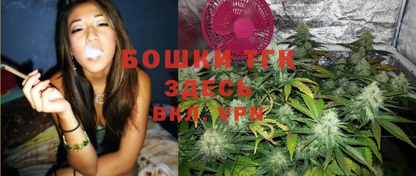 экстази Арсеньев